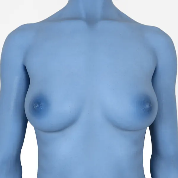 CLM Blue