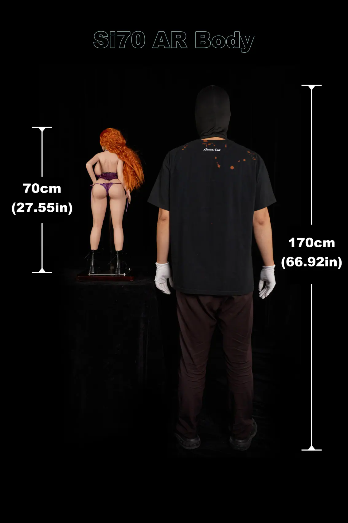 Si70cm AR Diana size reference 3
