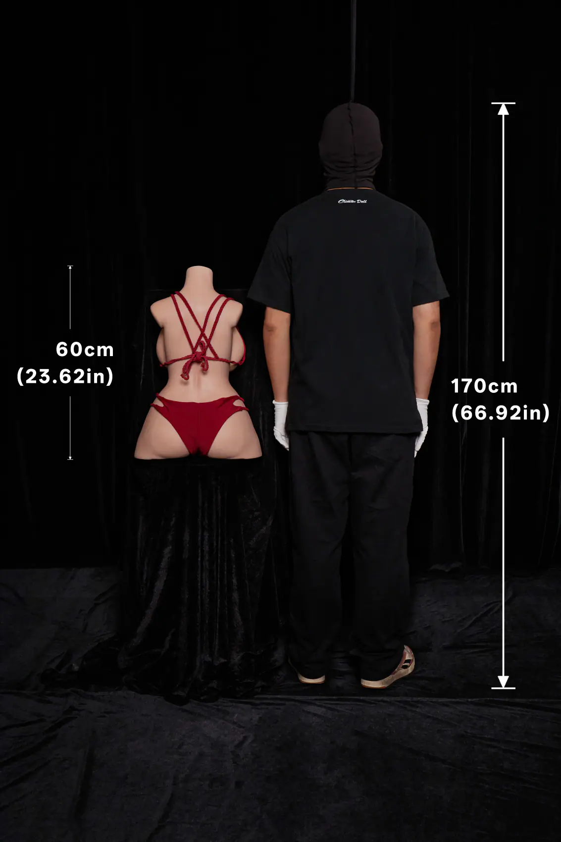 Torso ULW 664 natural sem cabeça 2