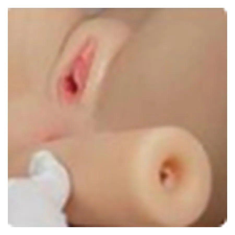 Vagina removível